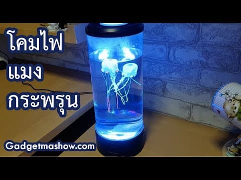 โคมไฟแมงกระพรุน รีวิว Jellyfish Lamp เปลี่ยนสี 5 สี ชาร์จ USB