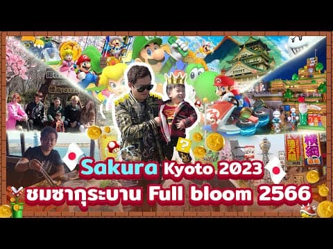 เที่ยวเกียวโตซากุระ Sakura Kyoto จุดชมซากุระบาน Full Bloom คนไม่พลุกพล่าน