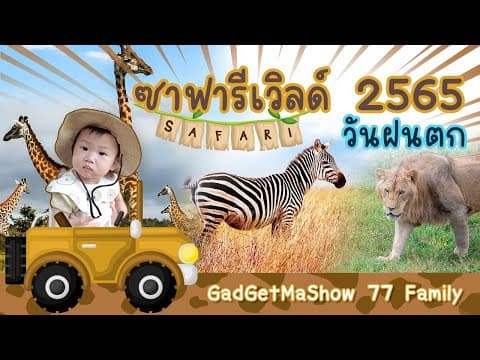 ซาฟารีเวิลด์ Safari World 2022 รีวิวพาลูกเที่ยวสวนสัตว์วันฝนตก