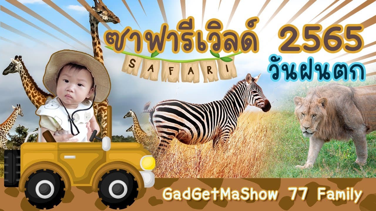 ซาฟารีเวิลด์ 2565 Safari World 2022 วันฝนตก