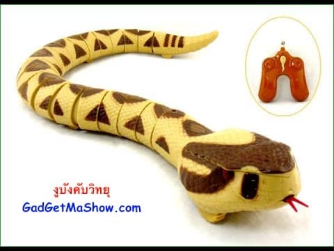 รีวิวงูบังคับวิทยุ ของเล่นงูหางกระดิ่งรีโมท แกล้งเพื่อนสุดฮา
