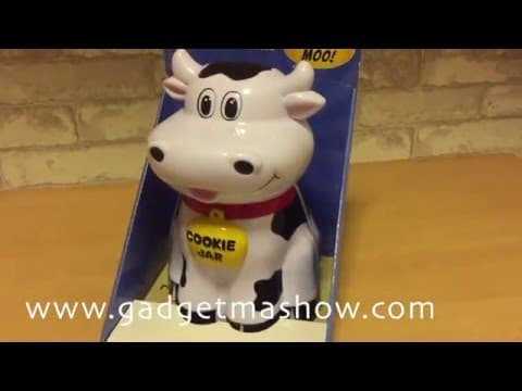 โหลคุกกี้พูดได้ Talking Cookie Jar รีวิวโหลน้องหมา-วัวน้อยมีเสียง