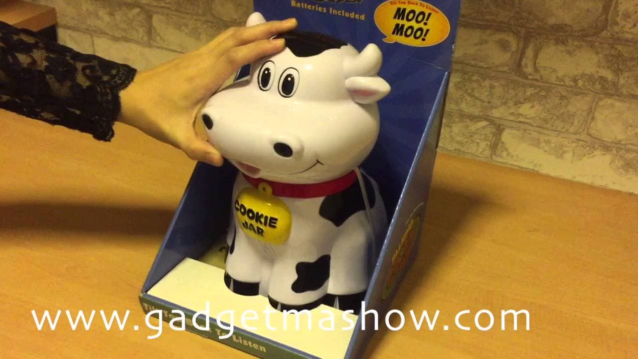 โหลคุกกี้พูดได้ Talking Cookie Jar